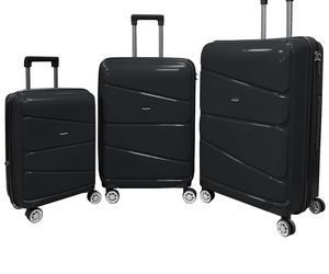 چمدان مشکی عامل هرج و مرج در آلمان معرفی شد