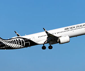 برخورد پرندگان با هواپیمای مسافربری ایر نیوزیلند