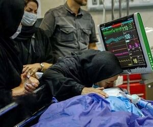 تنها جت مخصوص انتقال اعضای پیوندی تحت تعمیرات بود