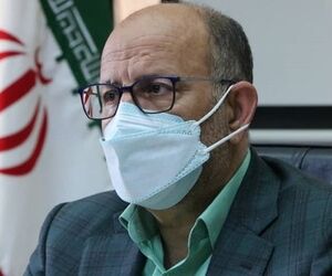 انتقاد رئیس فراکسیون گردشگری مجلس به افزایش قیمت بلیط هواپیما