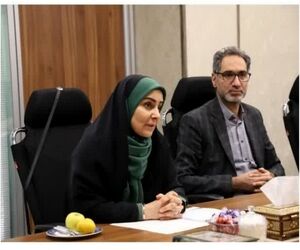 اجرای قانون خاص شرکت فرودگاه‌ها در اولویت سازمان امور اداری و استخدامی کشور قرار گرفت