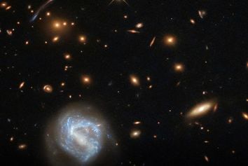 کشف سریعترین ستاره عالم