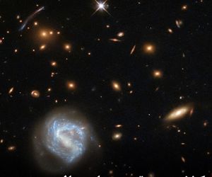 کشف سریعترین ستاره عالم