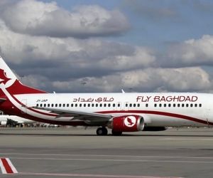 فرود اضطراری هواپیمای مسافربری به یک دلیل عجیب!