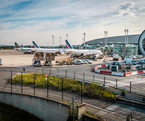 تعطیلی موقت باندهای فرودگاه شارل دوگل پاریس به دلیل فرار یک سگ!