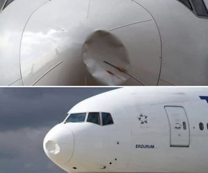 برخورد پرنده با ۷۷۷ ترکیش 