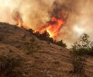 پرواز هواپیما بر فراز جنگل‌ها برای بررسی روند تخریب