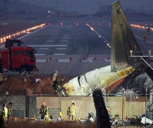 نصب دوربین تشخیص پرنده در فرودگاه‌های کره جنوبی