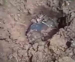 فرود شهاب سنگ بر سقف،‌ صاحب خانه را میلیونر کرد
