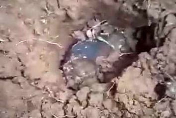 فرود شهاب سنگ بر سقف،‌ صاحب خانه را میلیونر کرد