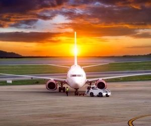 یک شرکت برزیلی از فضولات حیوانی برای تولید سوخت پاک هواپیما استفاده می‌کند!