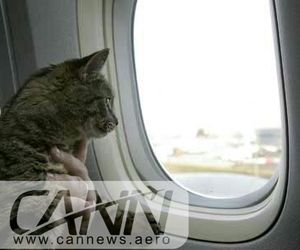 قوانین حمل حیوانات زنده در هواپیما