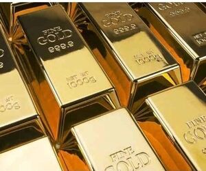 کشف شمش های طلای قاچاق در فرودگاه 