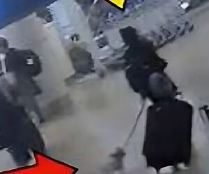 دستگیری زنی که سگش را کشت تا بتواند سوار هواپیما شود!