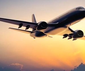 ایرلاین‌ها در طول پرواز فقط باید 
از زبان رسمی 