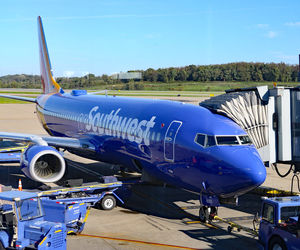 پرواز ساوت‌وست ایرلاینز به دلیل دعوای مسافران به فینیکس بازگشت

