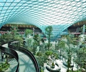 فرودگاه یا باغ، مسئله این است