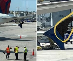 تاخیر سه ساعته هواپیما به خاطر زنبورها