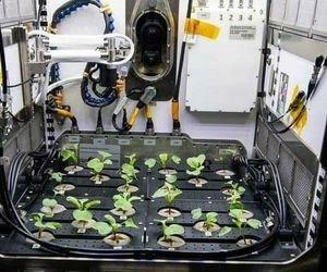 کاشت تربچه در فضا
