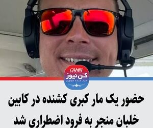 حضور یک مار کبری کشنده در کابین خلبان منجر به فرود اضطراری شد