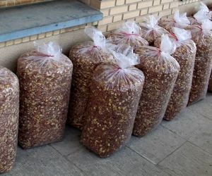 کشف ۵۷ کیلوگرم تریاک در بسته‌های آجیل