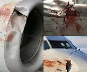 تصاویری از نتیجه برخورد بویینگ ۷۳۸ امریکن ایرلاینز با دسته‌ای از پرندگان در حین اپروچ به فرودگاه کانزاس سیتی در ایالت میسوری