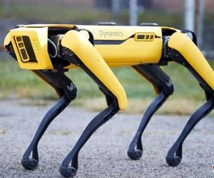 سگ‌های رباتیک مریخ را کشف می‌کنند