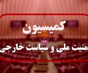 ورود کمیسیون امنیت ملی مجلس به اتفاقات فرودگاه رفیق حریری