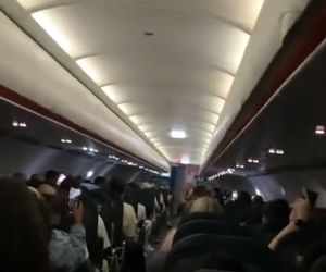 پرواز جهنمی ایزی‌جت: سرو الکل در هواپیما و مسافران وحشت‌زده!