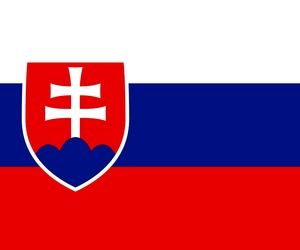 تعطیلی سه فرودگاه بزرگ اسلواکی 