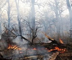 اطفای آتش گلستان با ۲۷ تن آب توسط بالگردهای هلال‌احمر