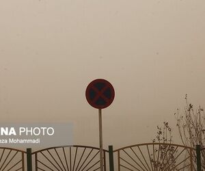 اجتناب از پرواز با گلایدر و بالگرد 