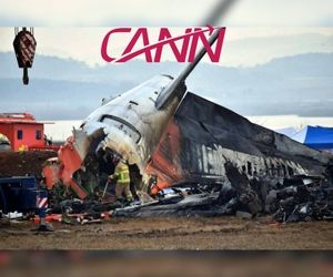 آیا صندلیهای انتهای هواپیما، جان دو سرنشین ججوایر را نجات داد؟ +تصاویر 

