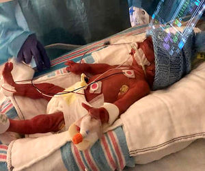 تولد یک نوزاد دیگر در هواپیما 