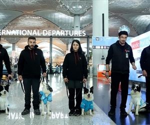 طرح ماموریت سگ‌های تربیت شده در فرودگاه «استانبول»