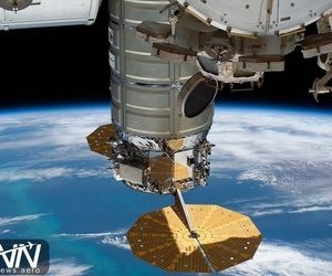 بررسی فشار زندگی در فضا