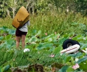 مرگ دلخراش خلبان پس از سقوط هواپیما در تالاب پر از تمساح!