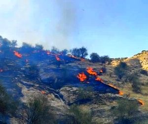 اعزام بالگرد برای اطفای حریق در جاده چالوس