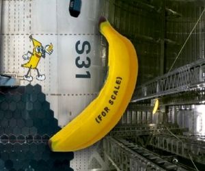 «استارشیپ» یک موز عروسکی را با خود به مدار برد!