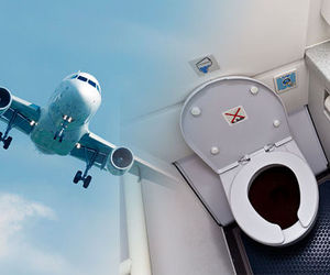 همه چیز درباره سرویس‌های بهداشتی در هواپیما