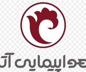 اطلاعیه هواپیمایی آتا در خصوص پرواز نجف به تهران شب گذشته 