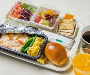 حقیقت ترسناک درباره غذای هواپیما؛ چرا برخی پزشکان غذای هواپیما را نمی‌خورند؟