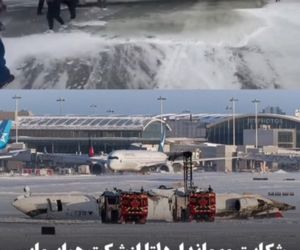 شکایت مهماندار 