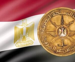 مرگ افسران نظامی مصر در پی سقوط یک جنگنده +فیلم
