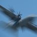 سقوط هواپیمای آموزشی نظامی در یونان