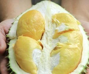 فرود اضطراری هواپیما به دلیل بوی بد میوه دوریان