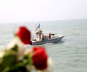 قربانگاه ۲۹۰ مسافر هواپیمای مسافربری ایرباس ۶۵۵ گلباران شد

