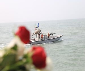 قربانگاه ۲۹۰ مسافر هواپیمای مسافربری ایرباس ۶۵۵ گلباران شد

