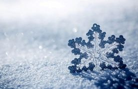 بارش سنگین برف 
در «تورنتو» کانادا و لغو صدها پرواز 
