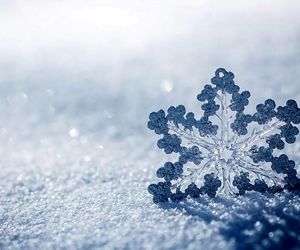 بارش سنگین برف 
در «تورنتو» کانادا و لغو صدها پرواز 
